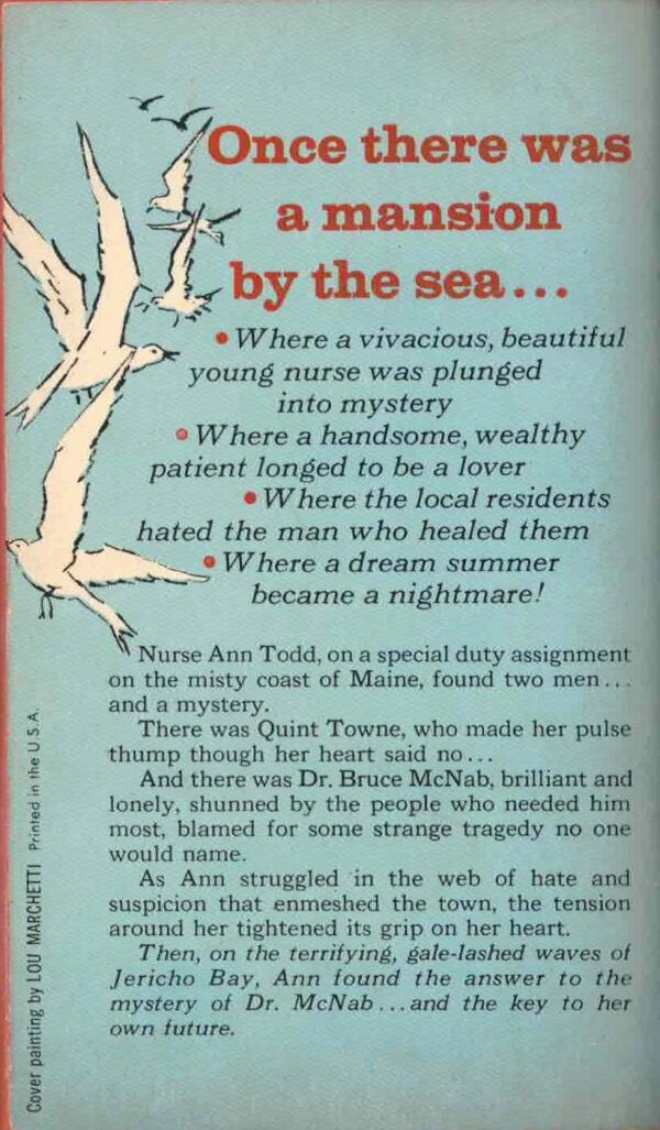 Nurse Todd's Strange Summer by Zillah K. Macdonald and Vivian J. Ahl