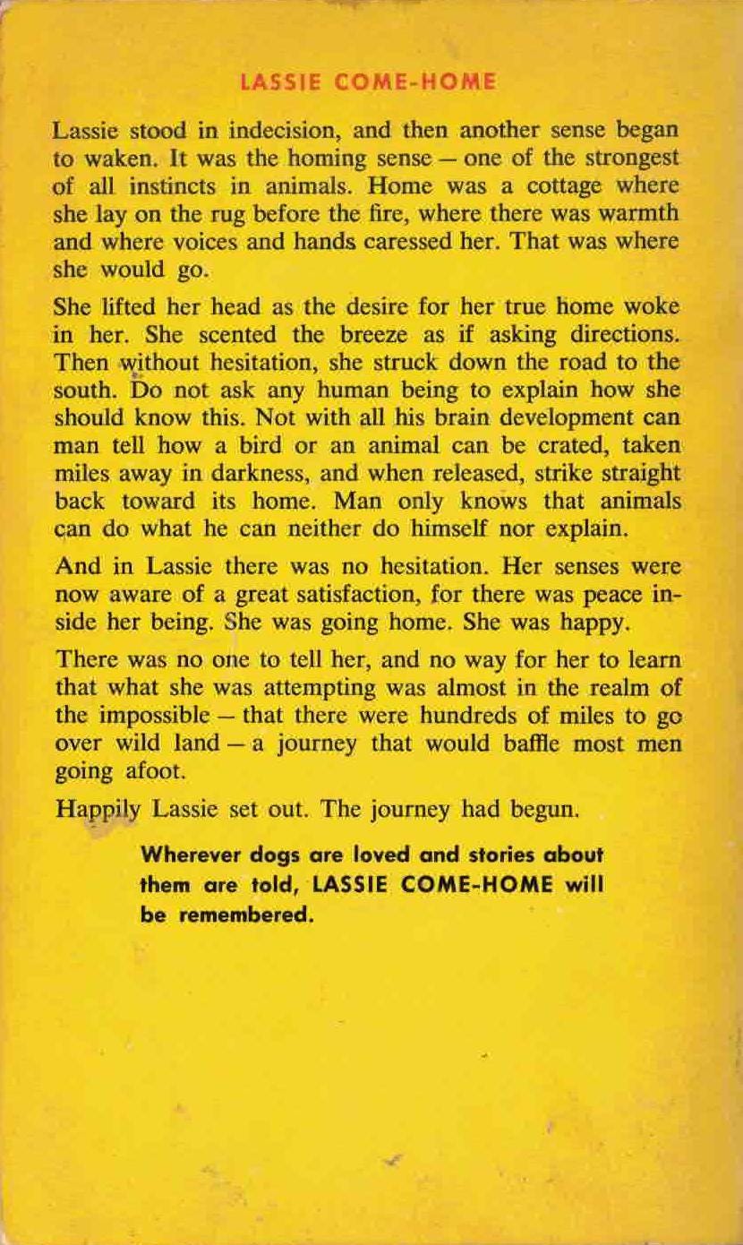 Lassie Come-Home by Erick Knight, Tempo Paperback 1981