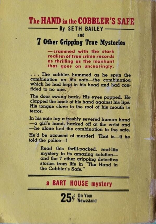 The Delinquent Ghost by Eric Hatch / Vintage Paperback